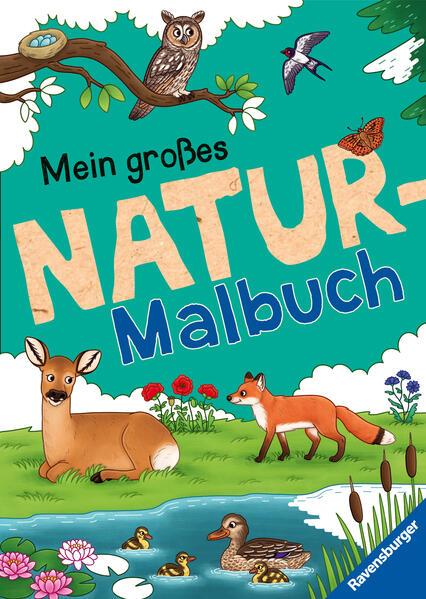 Ravensburger Mein großes Natur-Malbuch - heimische Waldtiere, Meerestiere, Vögel und Pflanzen zum Ausmalen und spannenden Fakten