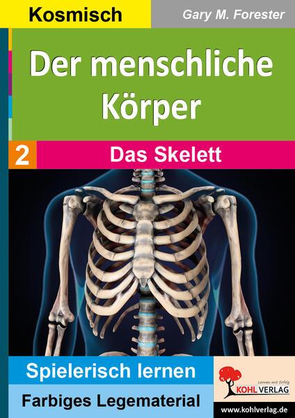 Der menschliche Körper / Band 2: Das Skelett