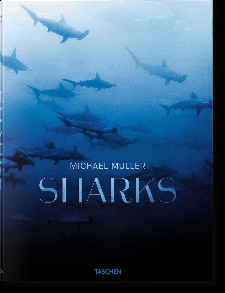 Michael Muller. Sharks