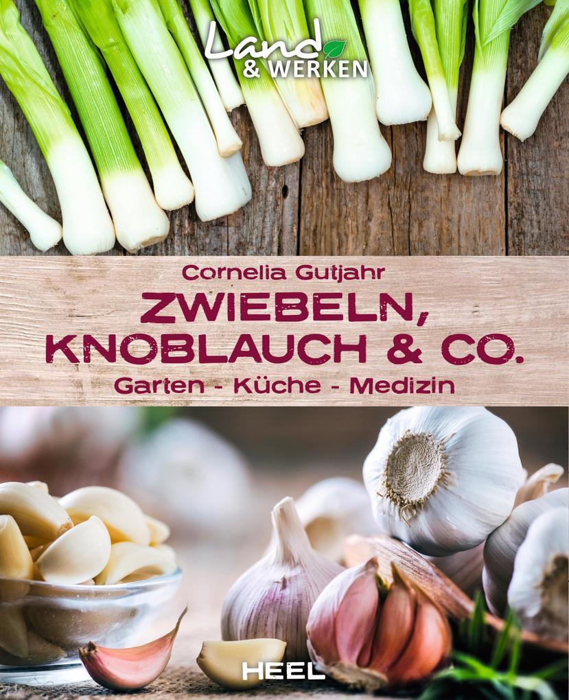 Zwiebeln, Knoblauch & Co.