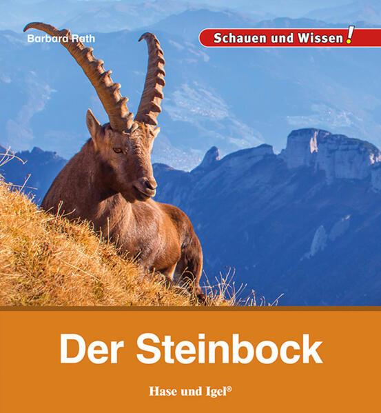 Der Steinbock