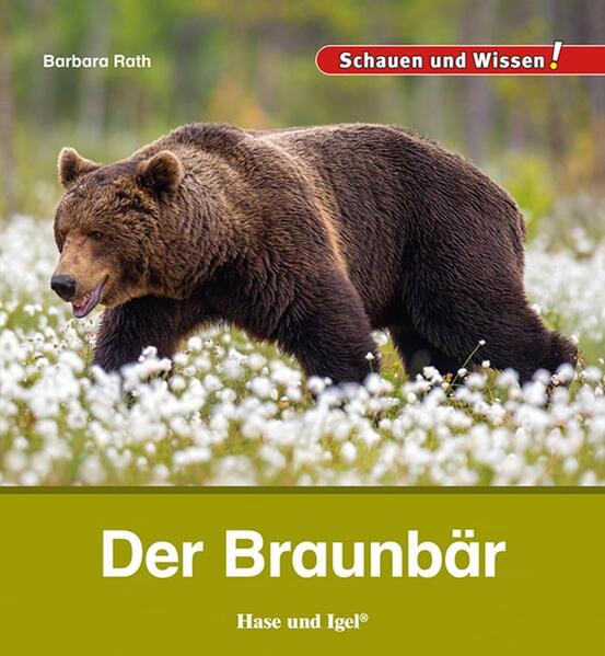 Der Braunbär