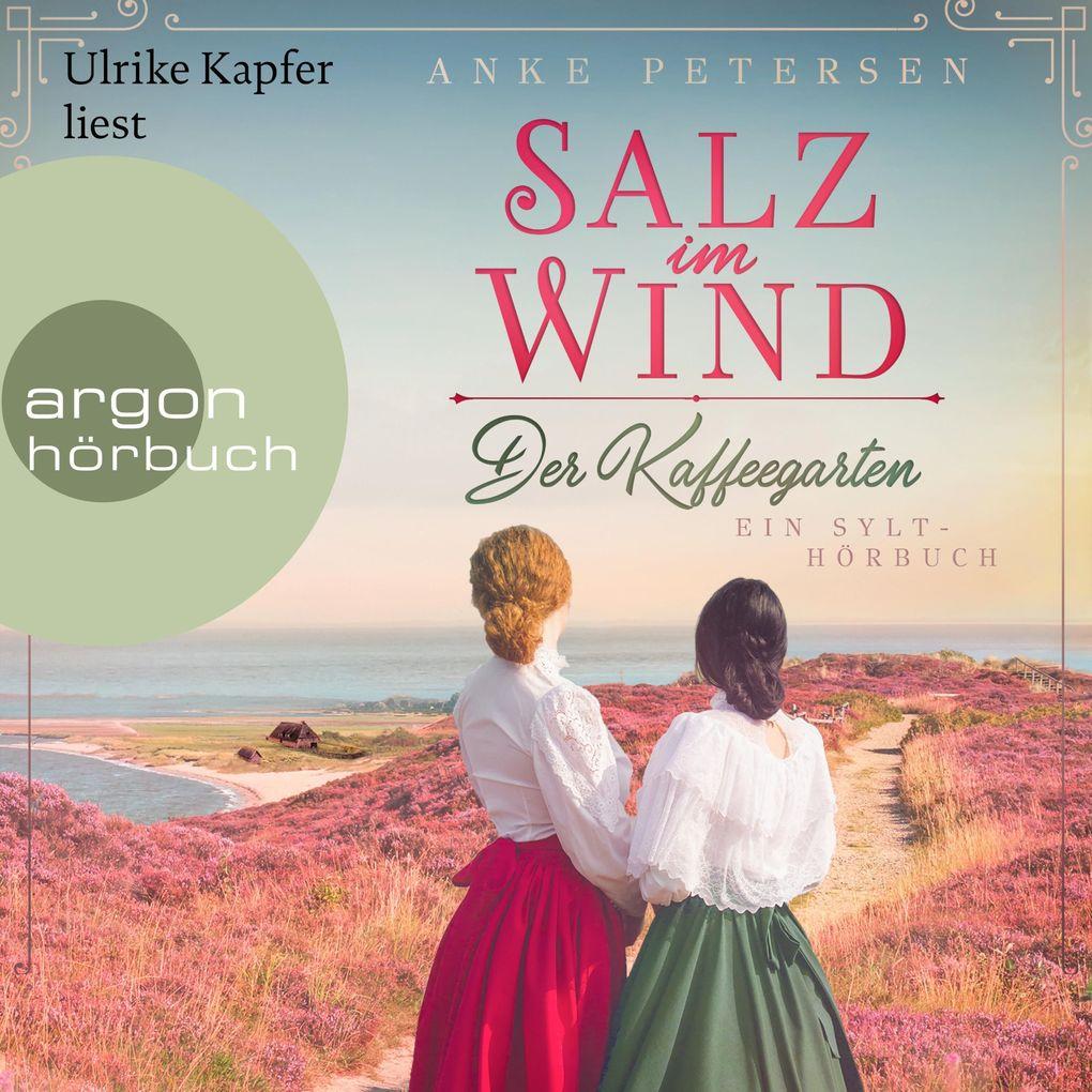 Salz im Wind - Ein Sylt-Roman