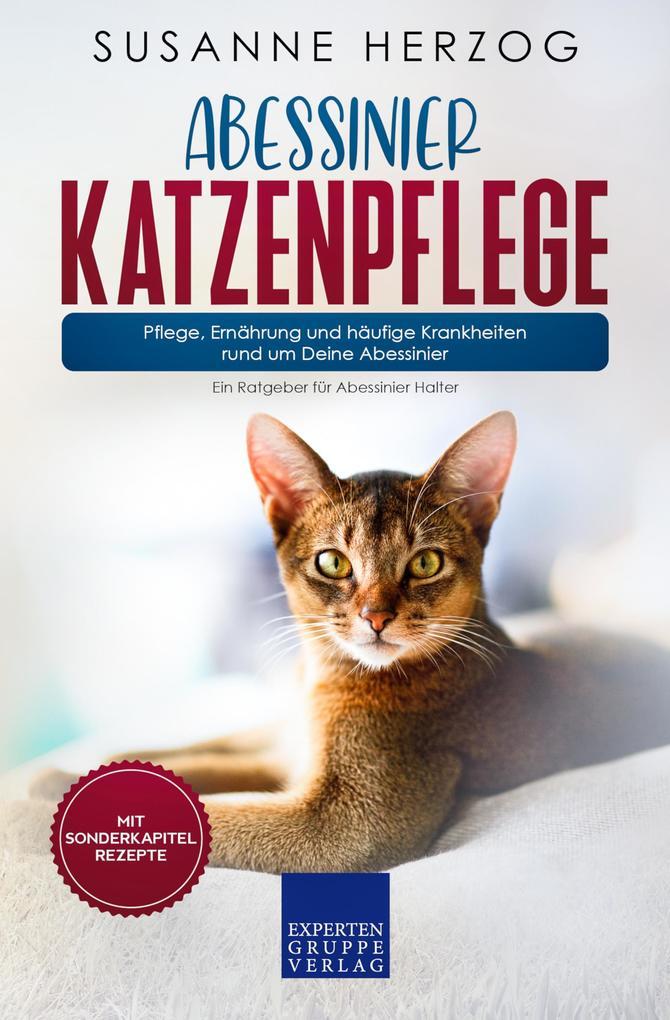 Abessinier Katzenpflege - Pflege, Ernährung und häufige Krankheiten rund um Deine Abessinier