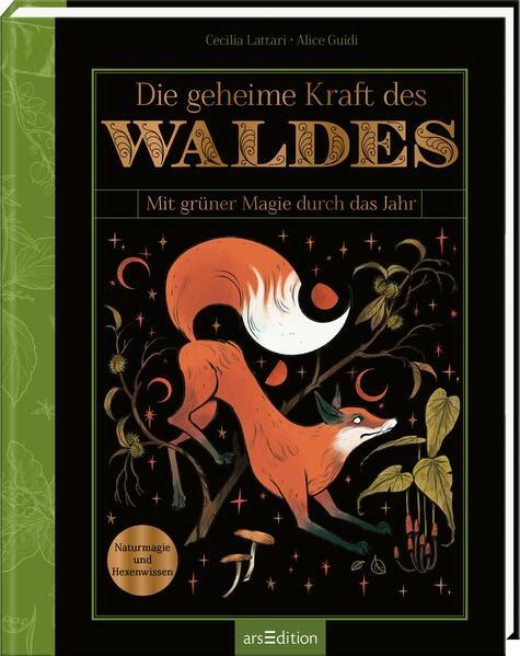 Die geheime Kraft des Waldes