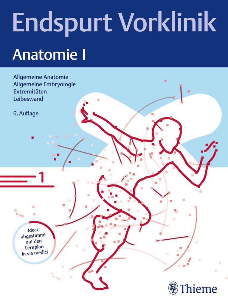 Endspurt Vorklinik: Anatomie I