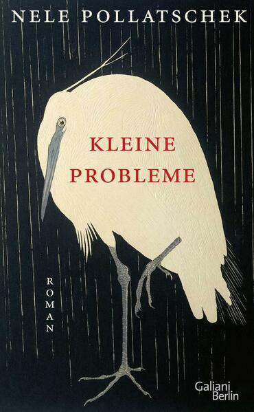 2. Nele Pollatschek: Kleine Probleme