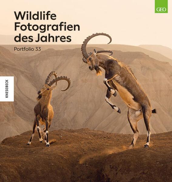 Wildlife Fotografien des Jahres - Portfolio 33