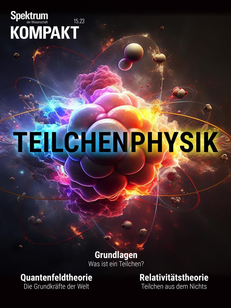 Spektrum Kompakt - Teilchenphysik