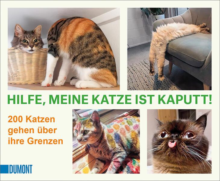 Hilfe, meine Katze ist kaputt