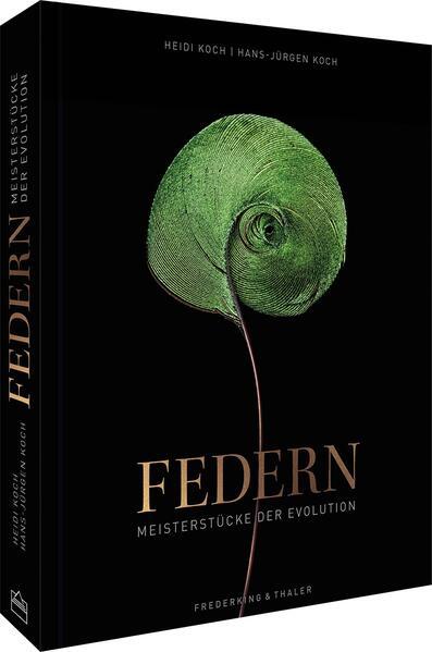 Federn