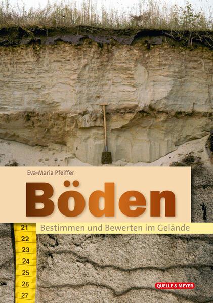 Böden