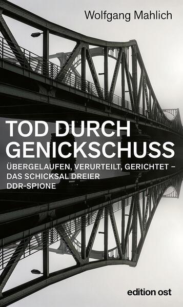 Tod durch Genickschuss