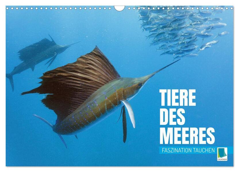 Tiere des Meeres: Faszination Tauchen (Wandkalender 2024 DIN A3 quer), CALVENDO Monatskalender