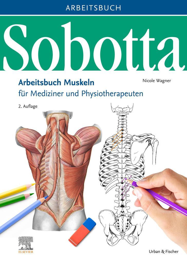 Sobotta Arbeitsbuch Muskeln