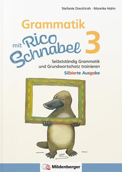 Grammatik mit Rico Schnabel, Klasse 3 - silbierte Ausgabe