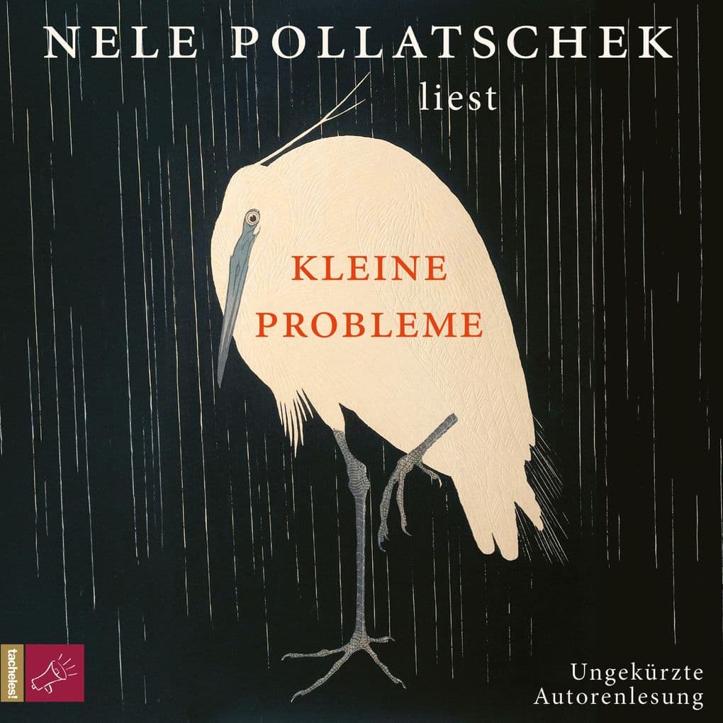 Kleine Probleme