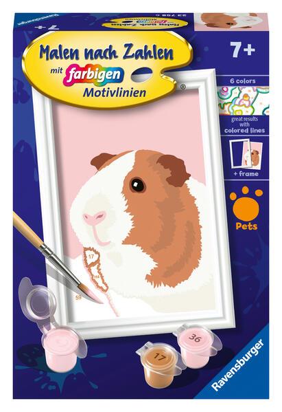 Ravensburger Malen nach Zahlen 23758 - Niedliches Meerschweinchen - Kinder ab 7 Jahren