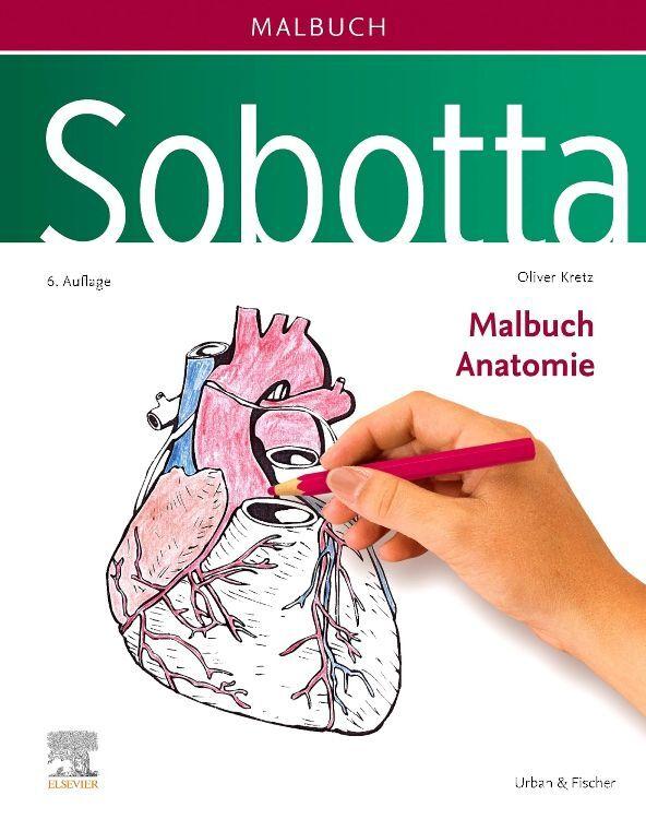 Sobotta Malbuch Anatomie