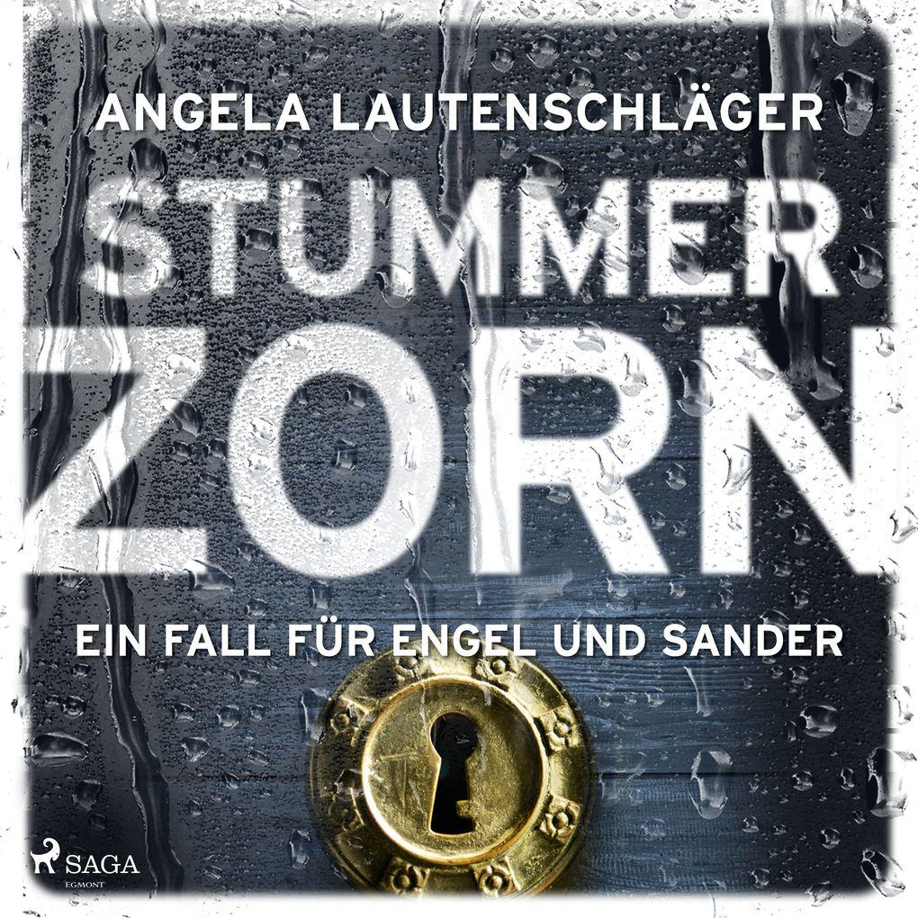 Stummer Zorn (Ein Fall für Engel und Sander, Band 7)