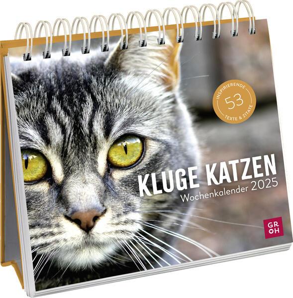 Wochenkalender 2025: Kluge Katzen