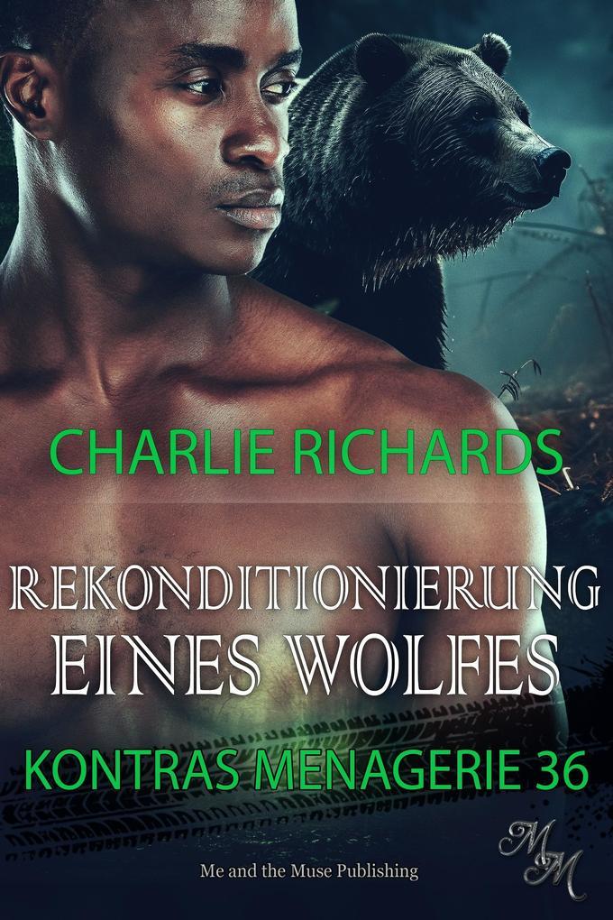 Rekonditionierung eines Wolfes