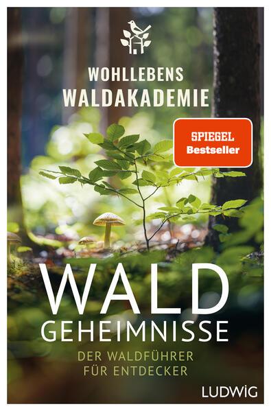 Waldgeheimnisse