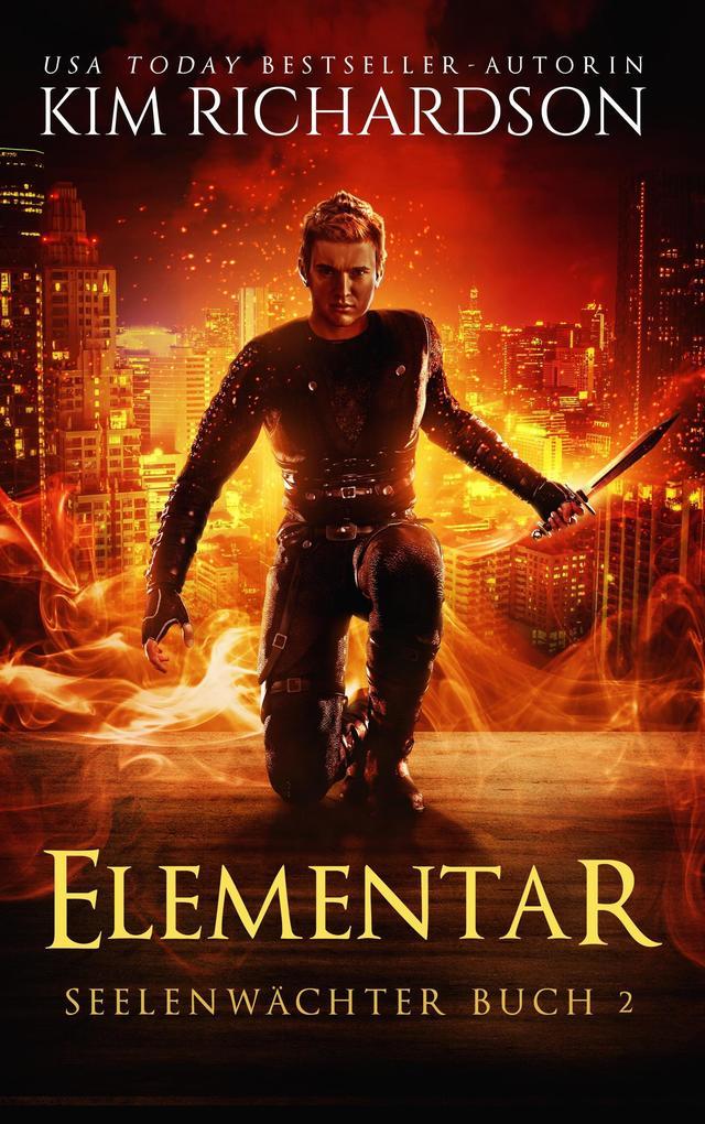 Elementar (Seelenwächter, #2)