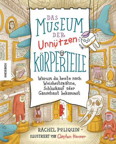 Das Museum der unnützen Körperteile