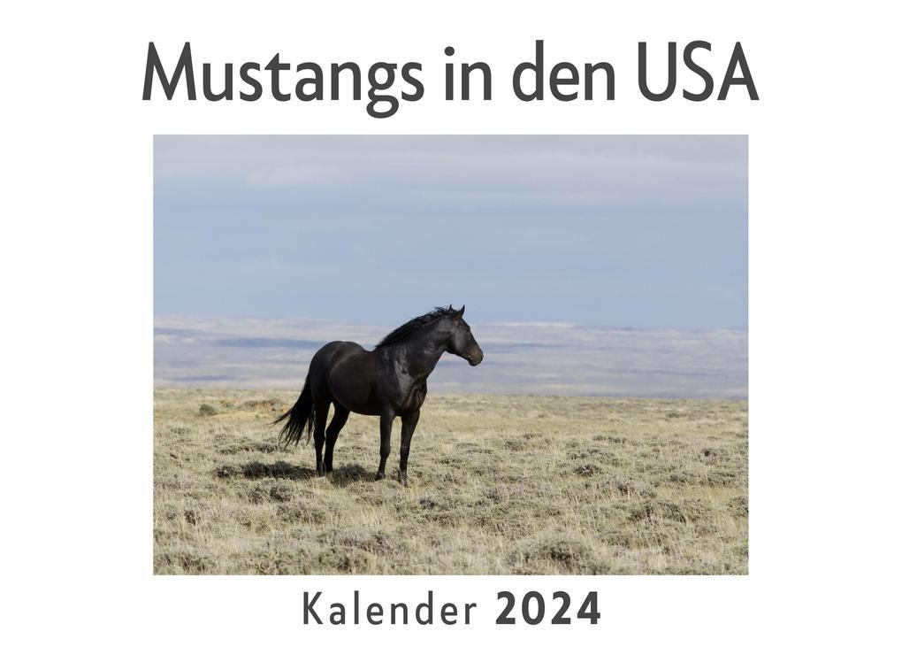 Mustangs in den USA (Wandkalender 2024, Kalender DIN A4 quer, Monatskalender im Querformat mit Kalendarium, Das perfekte Geschenk)