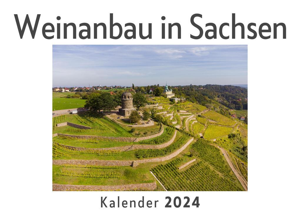 Weinanbau in Sachsen (Wandkalender 2024, Kalender DIN A4 quer, Monatskalender im Querformat mit Kalendarium, Das perfekte Geschenk)