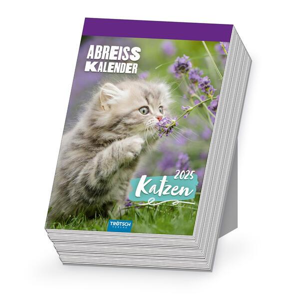 Trötsch Abreißkalender Katzen 2025