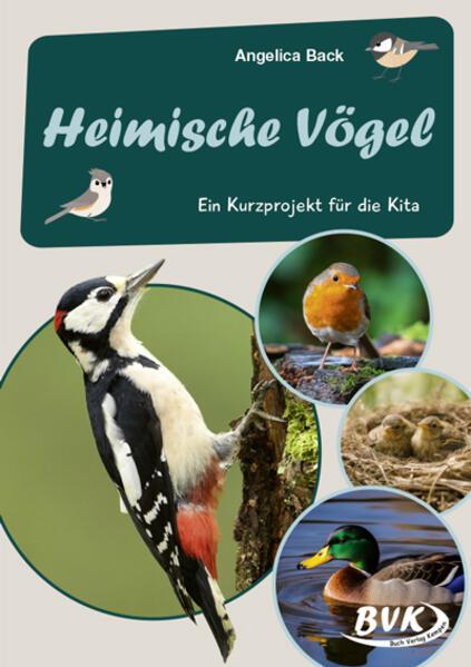 Heimische Vögel -