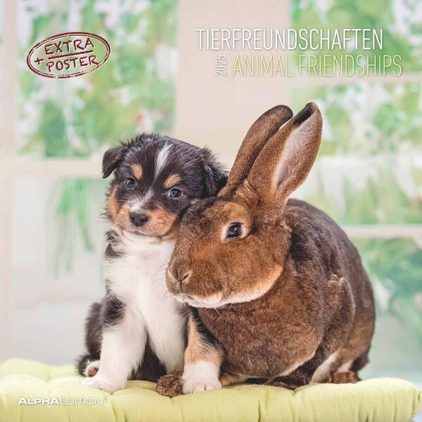 Tierfreundschaften 2025 - Broschürenkalender 30x30 cm (30x60 geöffnet) - Kalender mit Platz für Notizen - Animal Friendships - Bildkalender - Planer