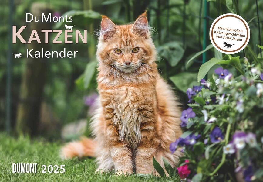 DUMONT - DUMONTS Katzenkalender 2025 Broschürenkalender, 42x29cm, Wandkalender mit kurzweiligen Katzengeschichten von Jette Jorjan, mit Schulferienterminen und Jahresübersicht