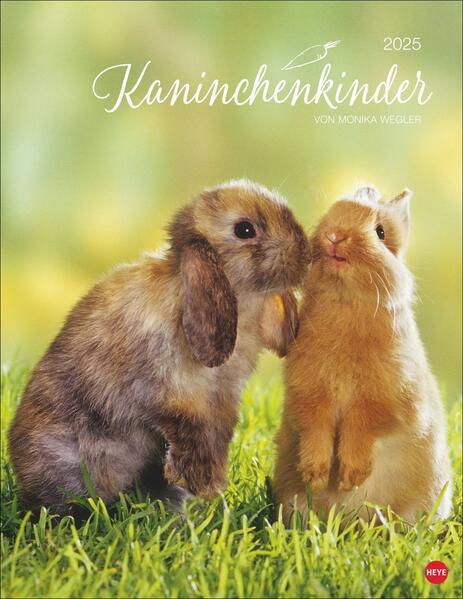 Kaninchenkinder Posterkalender 2025