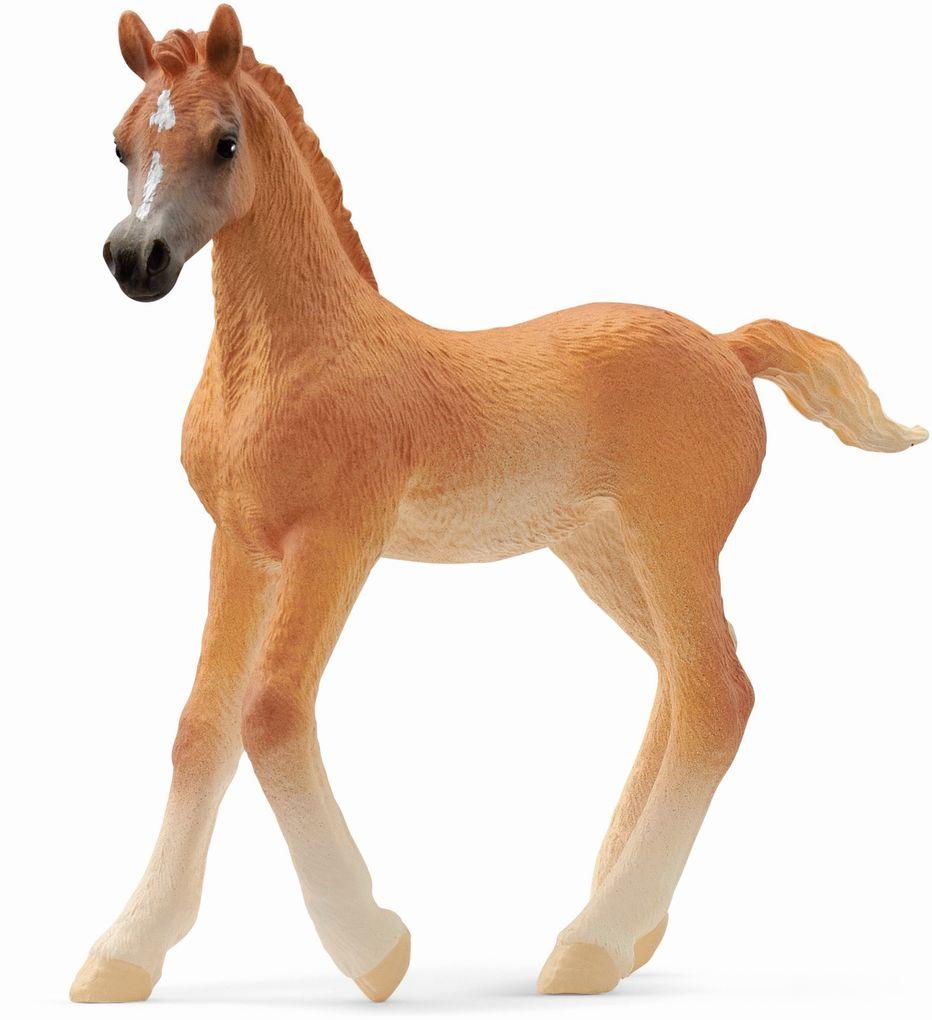 Schleich - Horse Club - Araber Fohlen