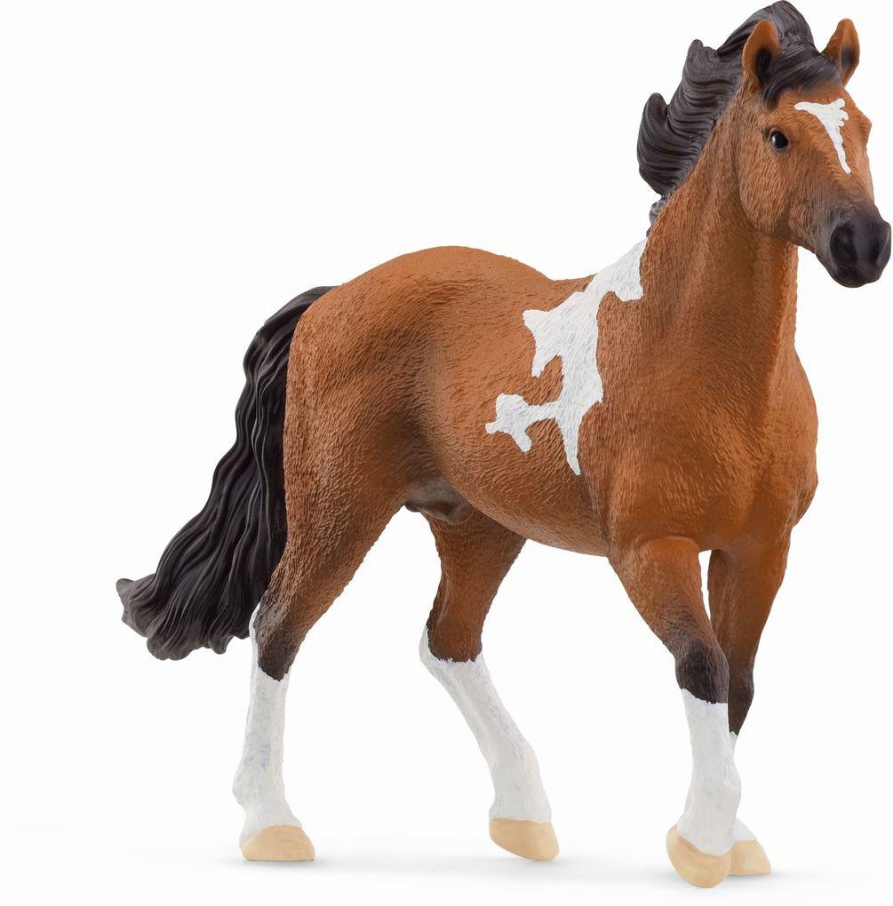 Schleich - Horse Club - Mangalarga Marchador Hengst