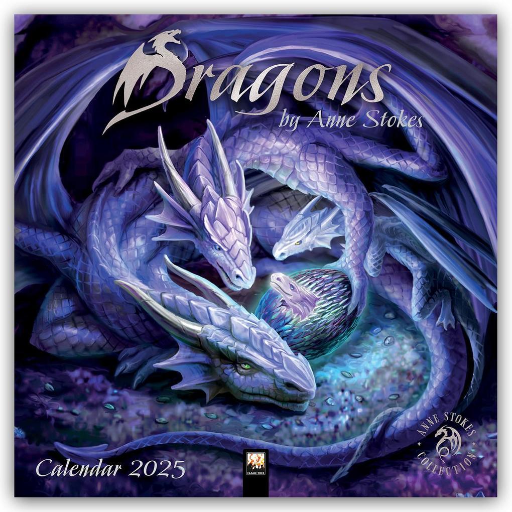 Dragons by Anne Stokes Wall Calendar 2025 (Art Calendar)