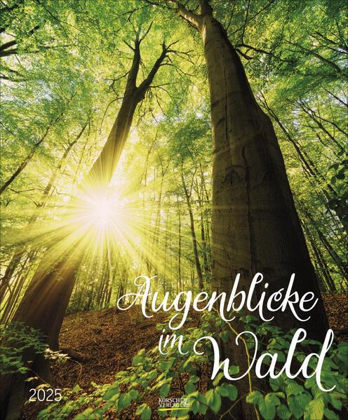 Augenblicke im Wald 2025