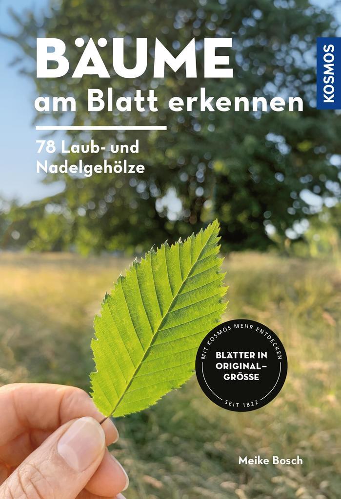 Bäume am Blatt erkennen - 78 Laub- und Nadelgehölze. Blätter in Originalgröße