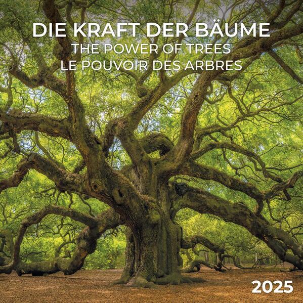 Die Kraft der Bäume 2025