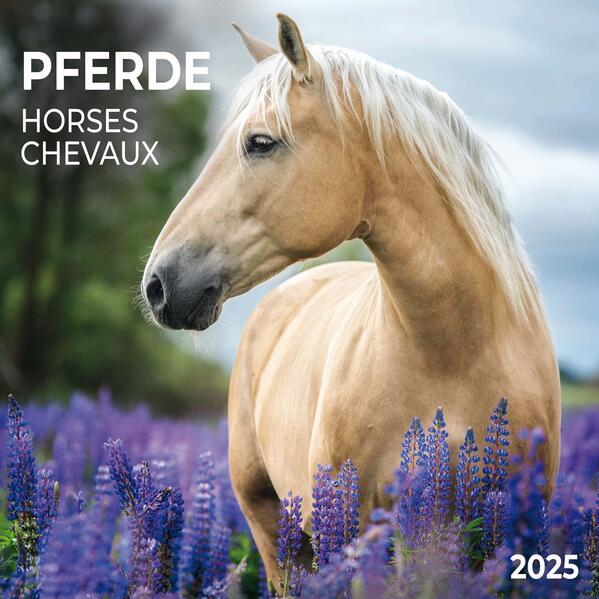 Horses/Pferde 2025
