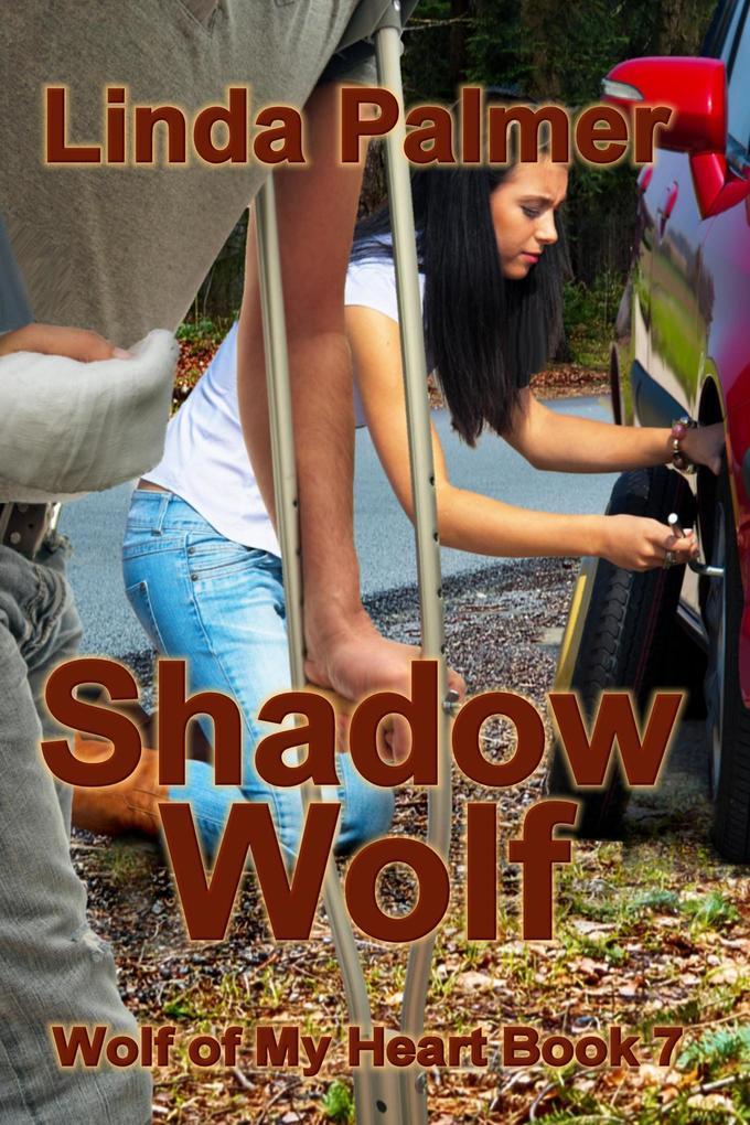 Shadow Wolf (Wolf of My Heart, #7)