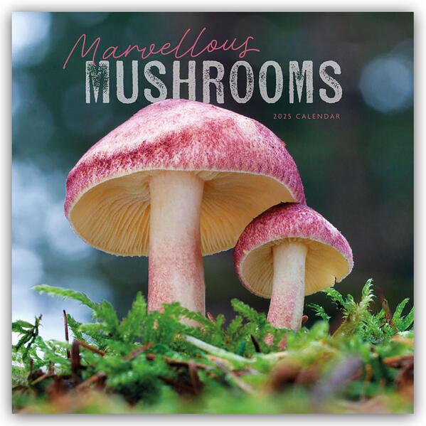 Marvellous Mushrooms Square Wall Calendar 2025