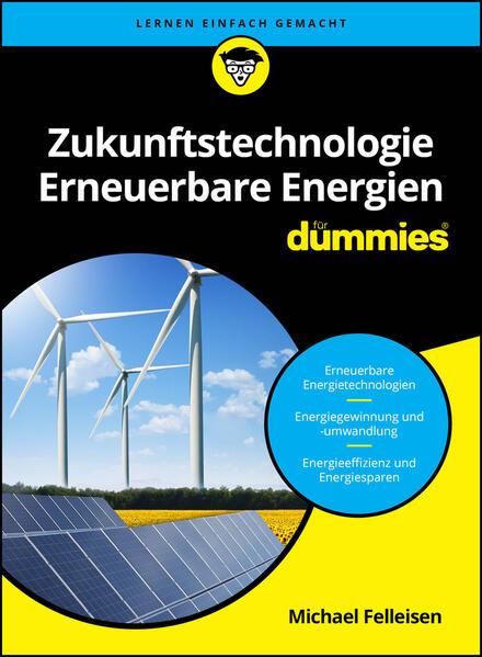 Zukunftstechnologie Erneuerbare Energien für Dummies