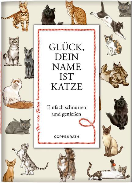 Glück, dein Name ist Katze