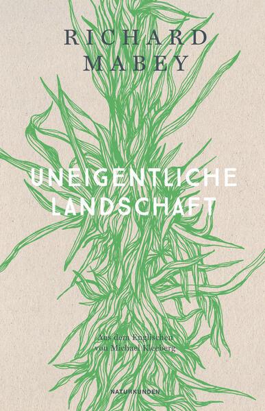 Uneigentliche Landschaft