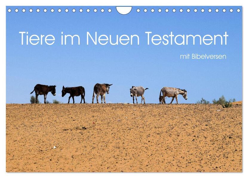 Tiere im Neuen Testament mit Bibelversen (Wandkalender 2025 DIN A4 quer), CALVENDO Monatskalender