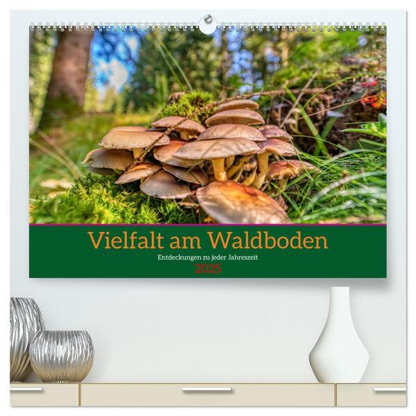 Vielfalt am Waldboden (hochwertiger Premium Wandkalender 2025 DIN A2 quer), Kunstdruck in Hochglanz